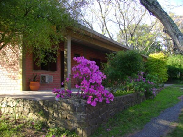 ריברה Posada Del Bosque מראה חיצוני תמונה